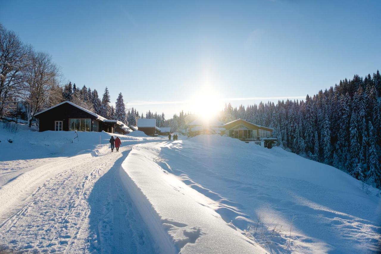 Kleivstua Hotel Near Krokskogen Sundvollen المظهر الخارجي الصورة